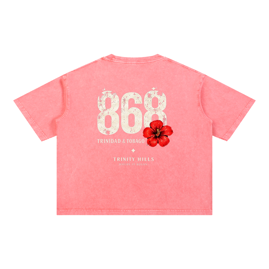 868 Mineral Wash Boxy Cotton T-Shirt