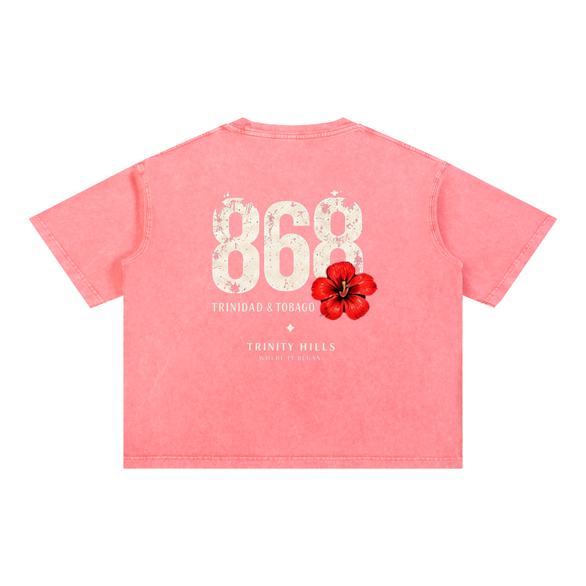 868 Mineral Wash Boxy Cotton T-Shirt