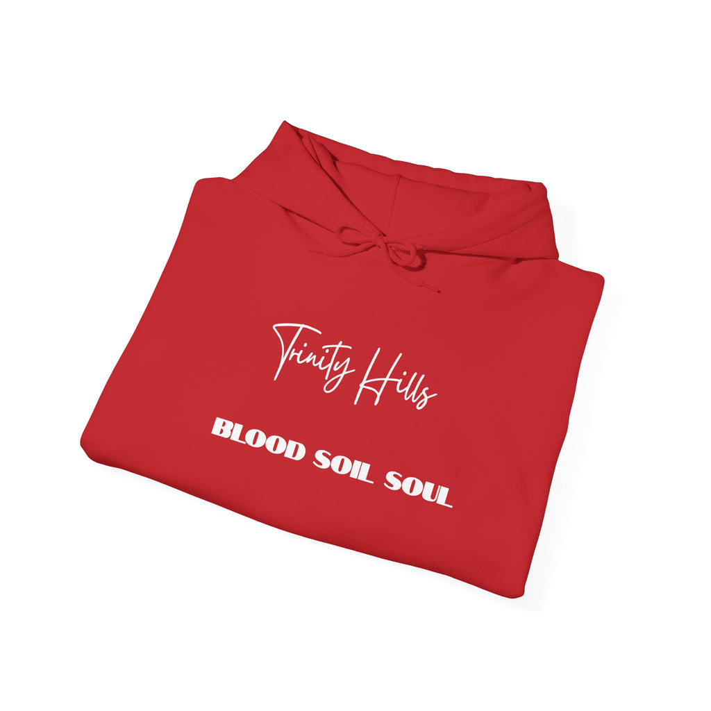 Trinity Hills "Blood, Soil, Soul" Hoodie — Minimal Black Graphic Sweatshirt