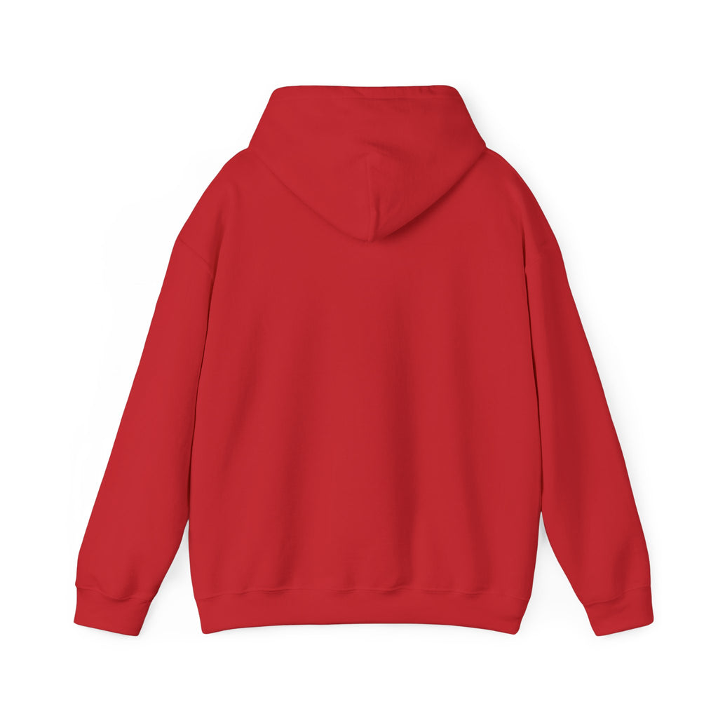 Trinity Hills "Blood, Soil, Soul" Hoodie — Minimal Black Graphic Sweatshirt