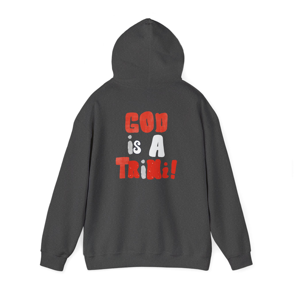 Trinity Hoodie — "God is a Trin Pullover"