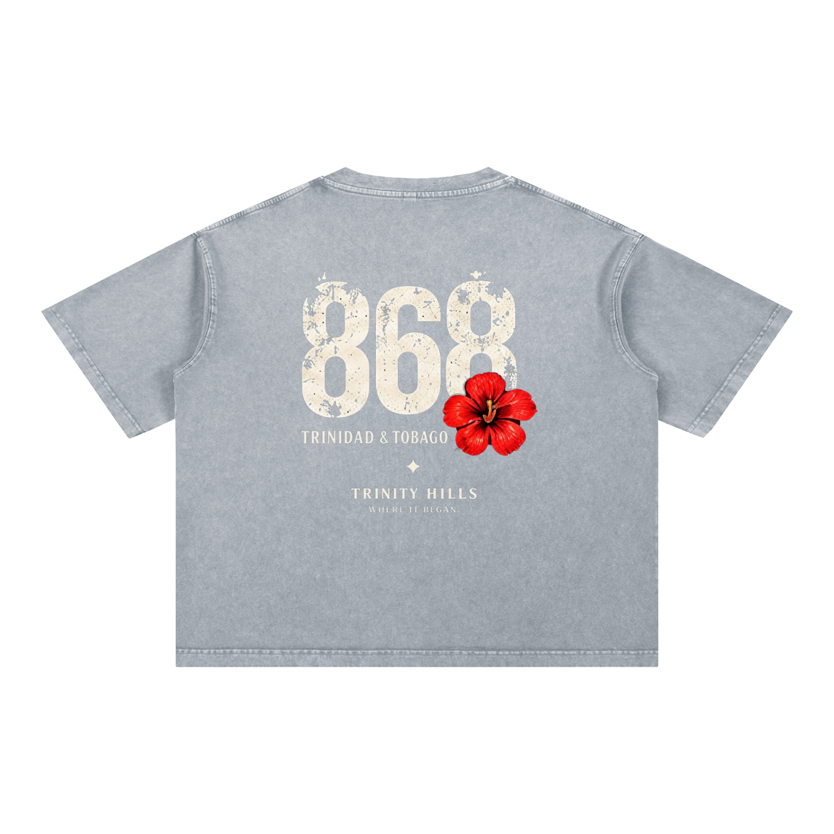 868 Mineral Wash Boxy Cotton T-Shirt