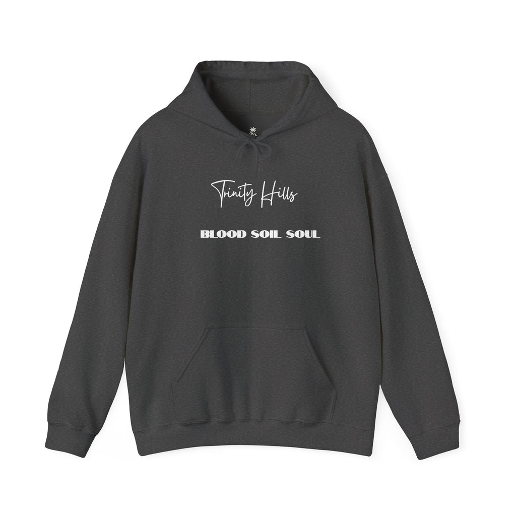 Trinity Hills "Blood, Soil, Soul" Hoodie — Minimal Black Graphic Sweatshirt
