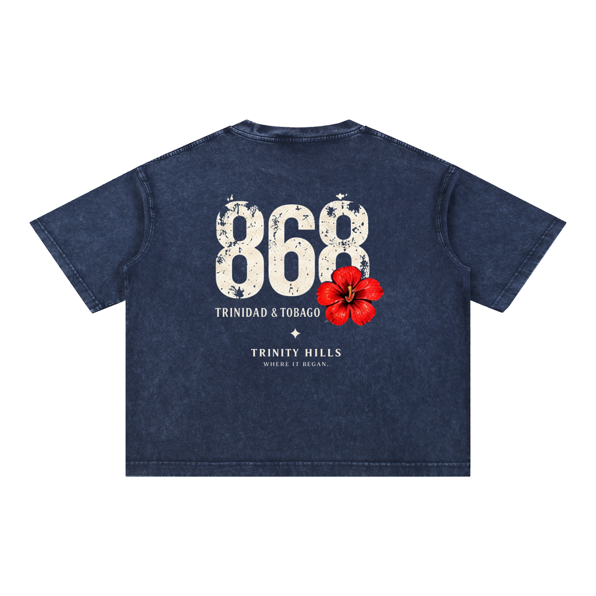 868 Mineral Wash Boxy Cotton T-Shirt