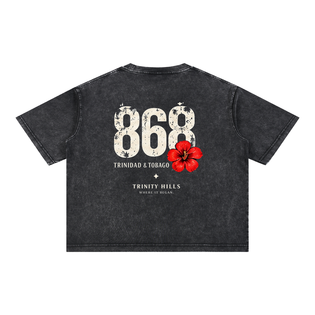 868 Mineral Wash Boxy Cotton T-Shirt