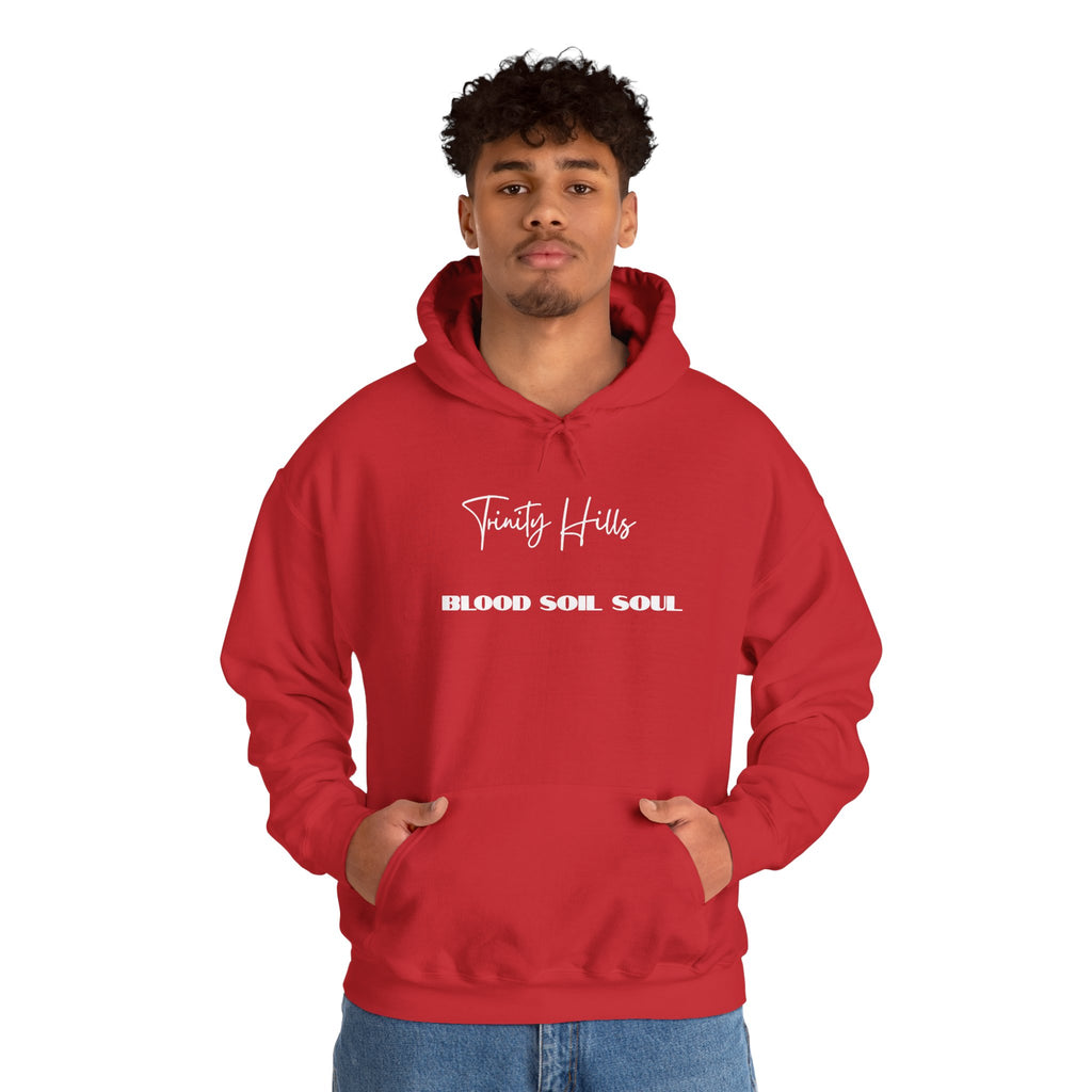 Trinity Hills "Blood, Soil, Soul" Hoodie — Minimal Black Graphic Sweatshirt