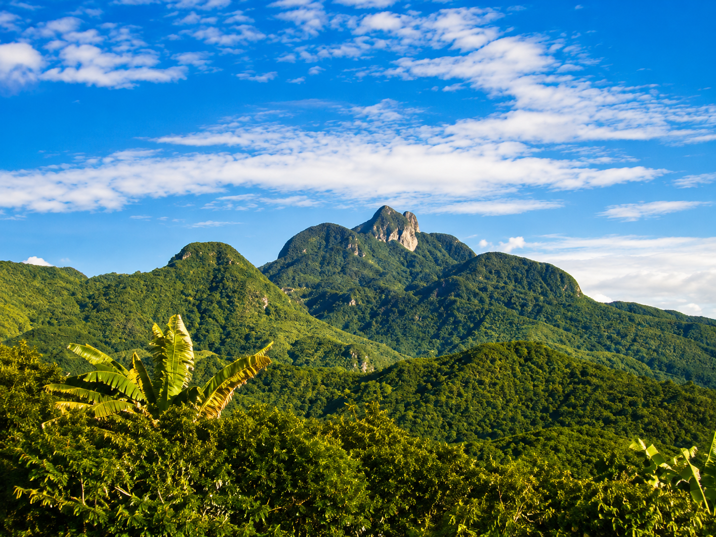 Trinidad hills